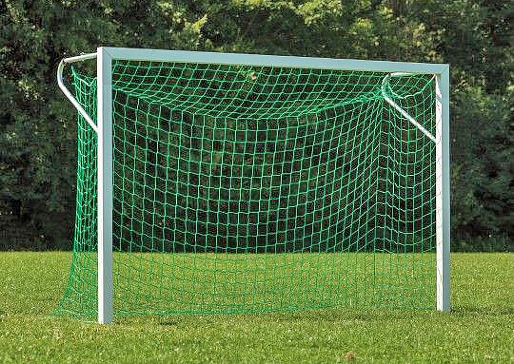 Fussballtor mit grünem Netz auf Rasen vor Bäumen – Sportplatz im Freien.